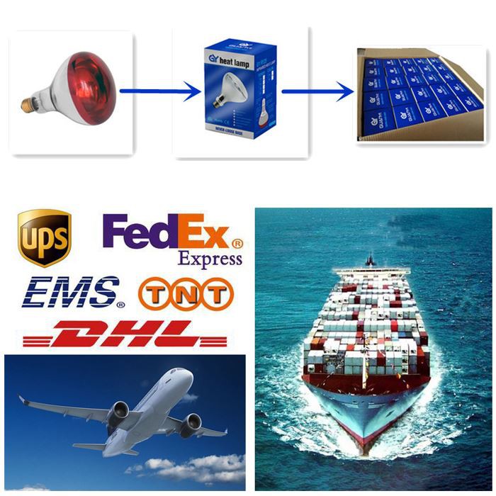 Transport of 150 watt heat lamp bulb